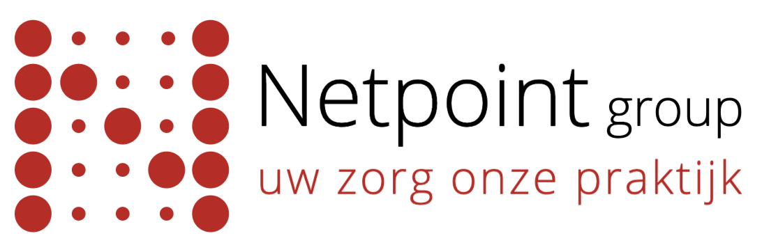 Netpoint Factoring Logo